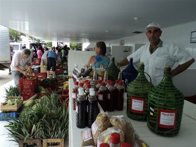 You are currently viewing Cocal do Sul realiza primeira Feira Livre Cultural para incentivar agricultura familiar