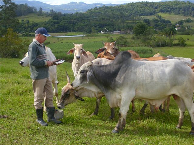 You are currently viewing Cocal do Sul realiza 3º Encontro Regional de Gado de Corte e Leite