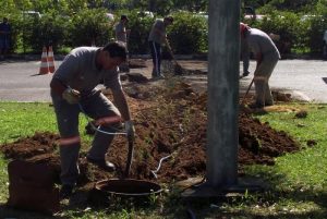 Read more about the article Cosip instala nova fiação elétrica no Parque Centenário