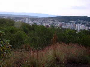 Read more about the article Projeto de preservação do Morro do Céu terá continuidade