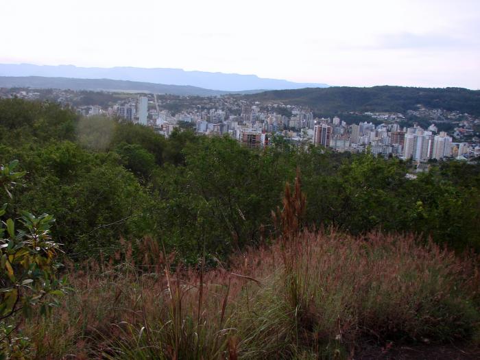 You are currently viewing Projeto de preservação do Morro do Céu terá continuidade