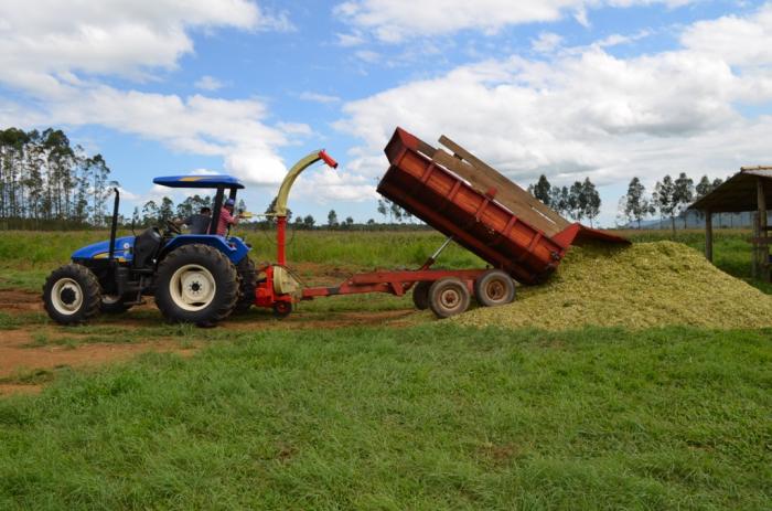 You are currently viewing Agricultores recebem apoio do Executivo para silagem