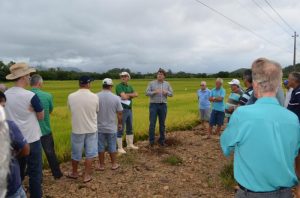 Read more about the article Evandro Gava e Zé Spilere acompanham experimentos sobre arroz irrigado