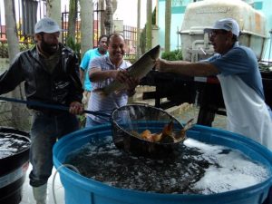 Read more about the article Feira do Peixe Vivo terá dois dias em Cocal do Sul