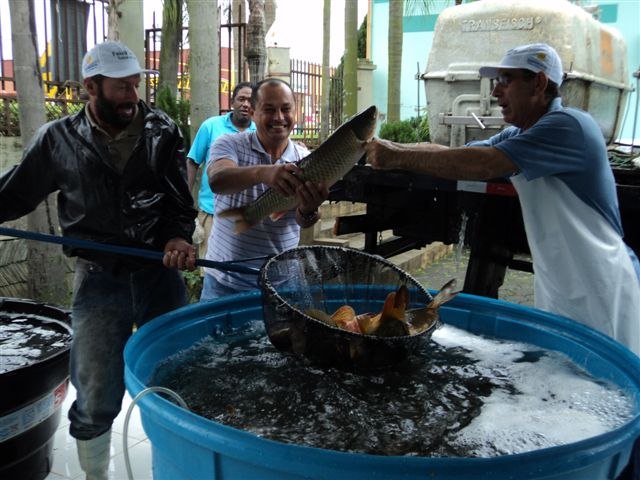 You are currently viewing Feira do Peixe Vivo terá dois dias em Cocal do Sul