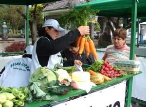 Read more about the article Feira livre de Lauro Müller começa a ser realizada também nas terças-feiras