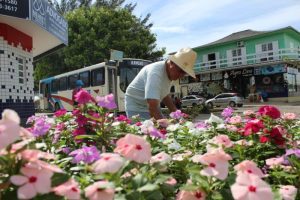 Read more about the article Rincão mais florido