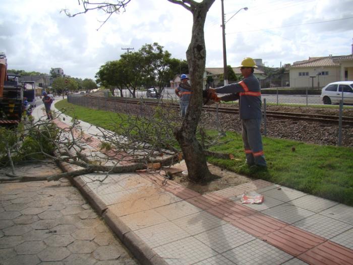 Read more about the article Governo de Morro da Fumaça realiza cortes de árvores que prejudicam passeio público