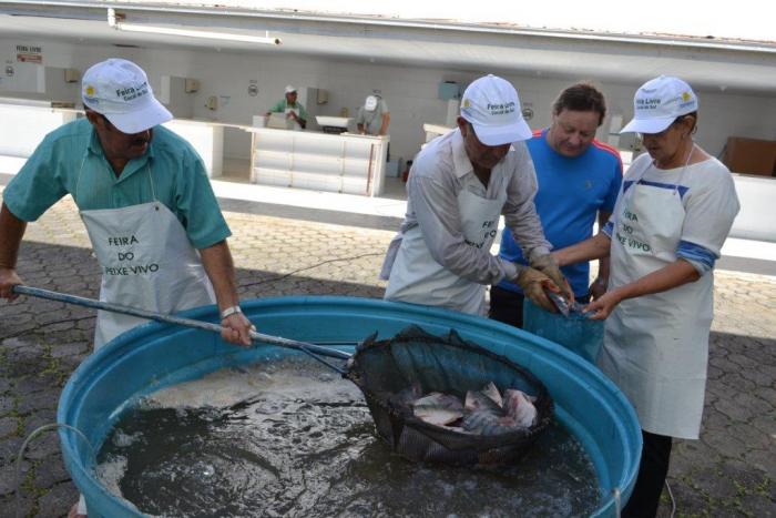 Read more about the article 200 quilos de peixes vendidos em uma hora em Cocal